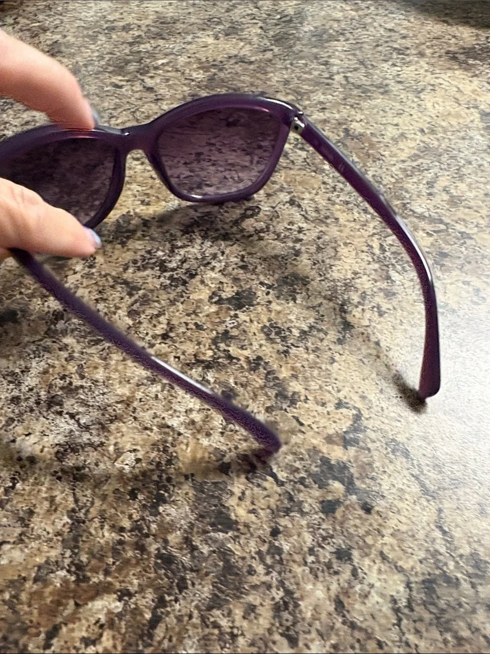 Calvin Klein Purple Cat-Eye Women's Sunglasses